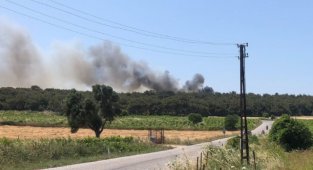 Bozcaada'da Ormanlık Alanda Çıkan Yangına Müdahale Ediliyor