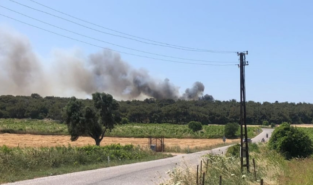 Bozcaada'da Ormanlık Alanda Çıkan Yangına Müdahale Ediliyor