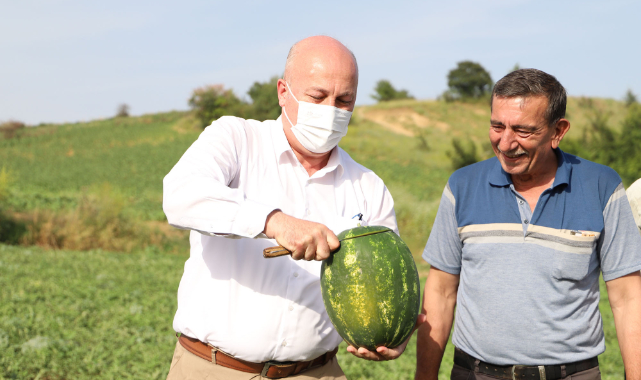 Hayrabolu Belediye Başkanı İnan Karpuz Hasadına Katıldı