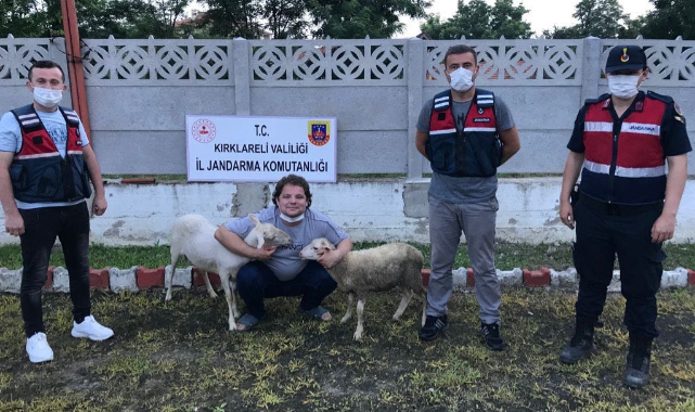 Hırsızlığa Karşı Uyarı İçin Gidilen Ağılda 2 Koyun Çalıntı Çıktı!