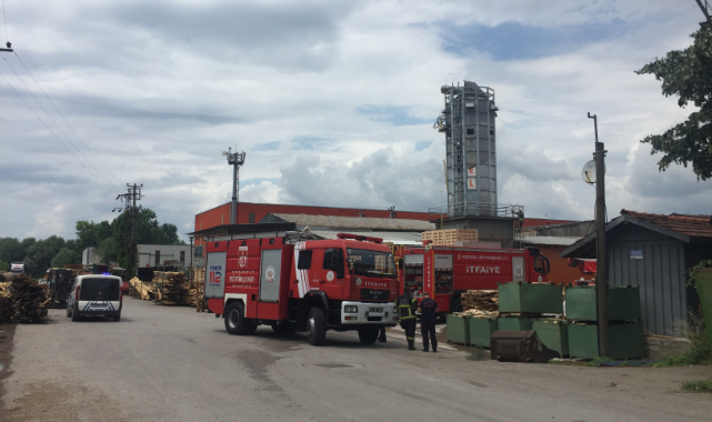 Kocaeli'de Kereste Fabrikasında Çıkan Yangın Söndürüldü