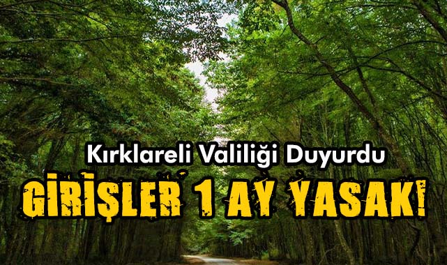 Ormanlık Alanlara Giriş 1 Ay Yasak!