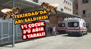 Tekirdağ'da Arı Saldırısı, 1'i Çocuk 3'ü Ağır 5 Yaralı