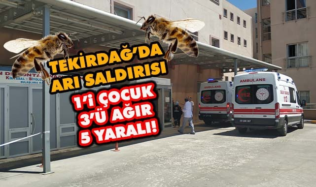 Tekirdağ'da Arı Saldırısı, 1'i Çocuk 3'ü Ağır 5 Yaralı
