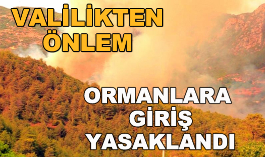 Tekirdağ'da Ormanlık Alanlara Giriş Yasaklandı