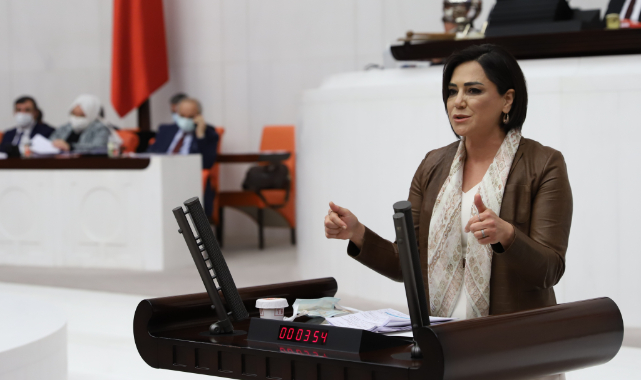 6 Yaşındaki Çocuğun Ölümü Meclis Gündemine Taşındı