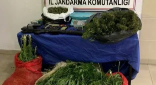 Bilecik'te Uyuşturucu Operasyonunda 1 Şüpheli Tutuklandı