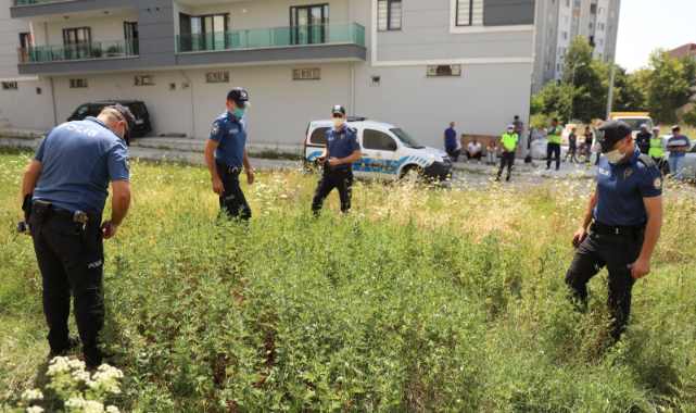 Boş Arsada Binlerce Kök Hint Kenevir Ele Geçirildi