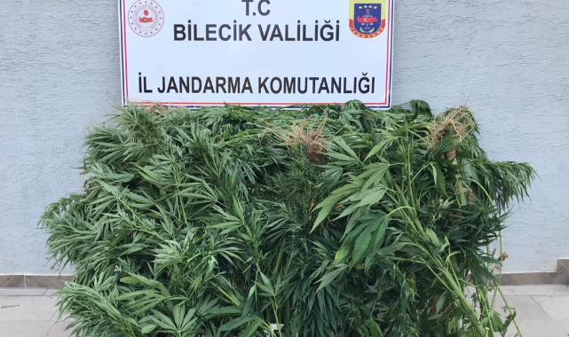 Bozüyük'te Uyuşturucu Operasyonunda Yakalanan Şüpheli Tutuklandı