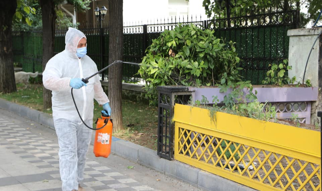 Dantel Böceği Popülasyonu Kimyasal Mücadele Sonrası Azaldı