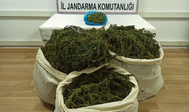 Motosikletle Uyuşturucu Taşırken Yakalandı