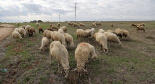 8 Köyde Uygulanan Karantina sona Erdi