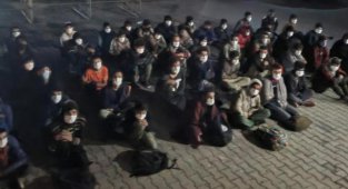 Afganistan ve Suriye Uyruklu 55 Göçmen Yakalandı