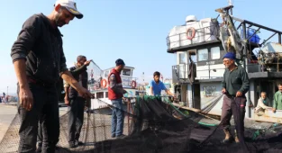 Balıkçılar Marmara'da "Lüfer" Peşinde