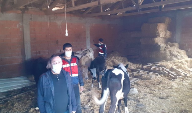 Balıkesir'de Altın ve Hayvan Hırsızlığı Şüphelileri Yakalandı