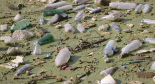 Çöplerle Kaplı Tahliye Kanalında Temizlik Çalışması Başlatıldı