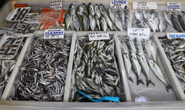Marmara'daki Lüfer Bolluğu Vatandaşı Sevindirdi