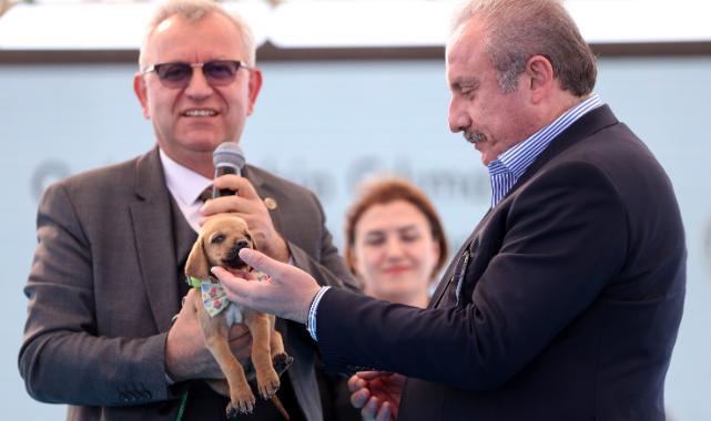 TBMM Başkanı Şentop'a Barınak Açılışında Sokak Köpeği Armağan Edildi