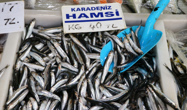 Tekirdağ'da Hamsi Kilogramı 40 Liradan Tezgahlarda Yerini Aldı
