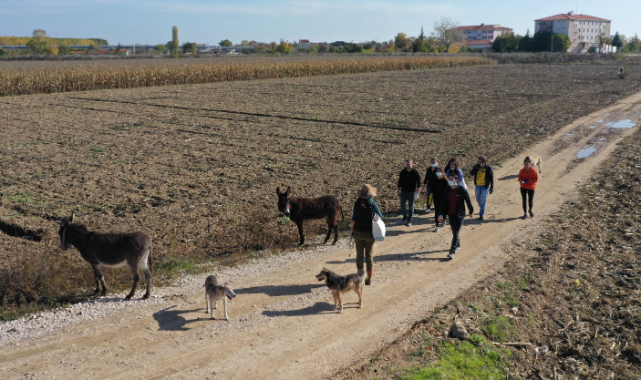 İspanyol Akademisyen Çevre Temizliğine Eşek ve Köpekleriyle Geldi
