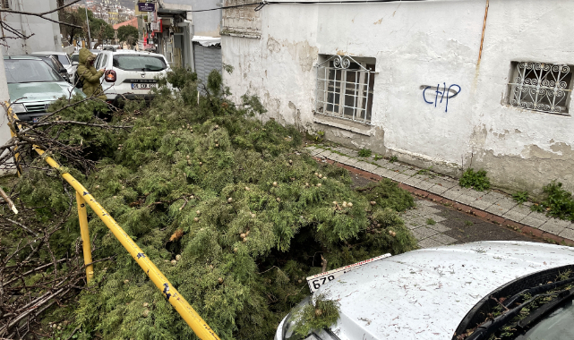 Fırtına Nedeniyle Ağaç Araçların Üzerine Devrildi