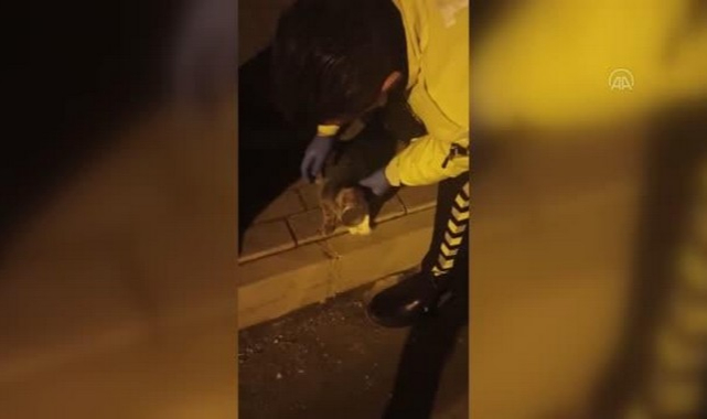 Polis Ekiplerinin Dikkati Yavru Kediyi Ölmekten Kurtardı