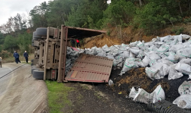 Sakarya'da Devrildikten Sonra Yanan Tırın Sürücüsünü Vatandaşlar Kurtardı