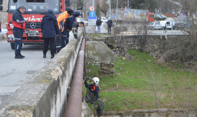 Derede Mahsur Kalan Köpeği İtfaiye Ekipleri Kurtardı