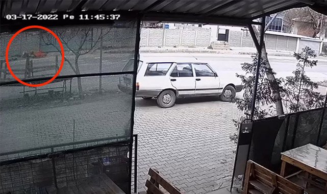10 Yaşındaki Çocuğu Köpek Isırdı