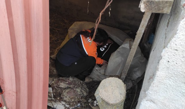 Kaybolan Yaşlı Kadını AFAD ve Jandarma Ekipleri Buldu