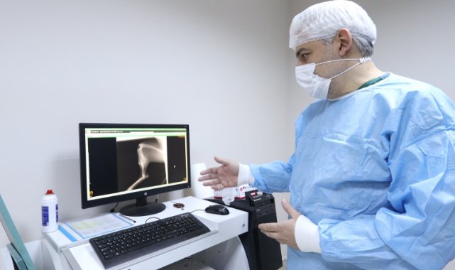 Kocaeli'de Silahla Yaralanan Sokak Köpeği Sağlığına Kavuştu