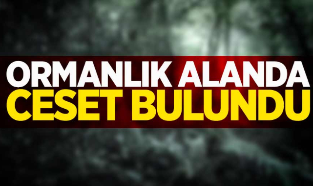 Ormanlık Alanda Ceset Bulundu