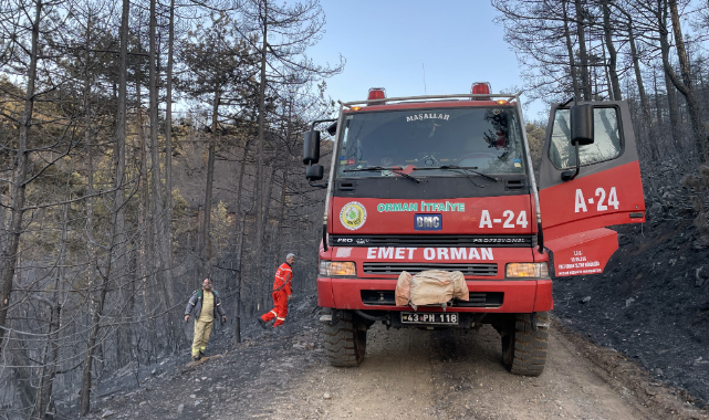 Bursa'da Ormanlık Alanda Yangın
