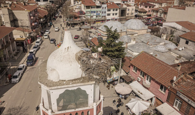 Bursa'da Tarihi Saat Kulesinin Leylek Çifti Yuvasına Yerleşti