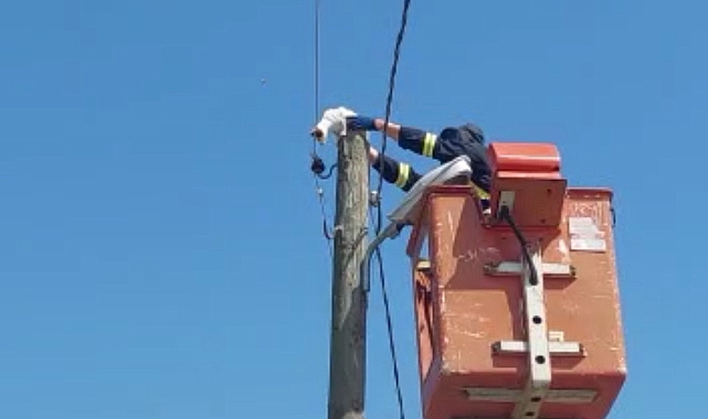 Elektrik Direğinde Mahsur Kalan Kedi Yavrusu 1 Saat Sonra Kurtarıldı