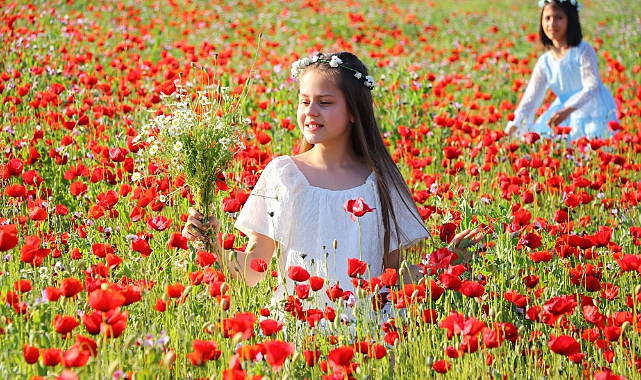 Gelincik Tarlaları Fotoğraf Tutkunlarını Ağırlıyor