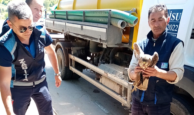 Yaralı Bulunan Şahin Tedaviye Alındı