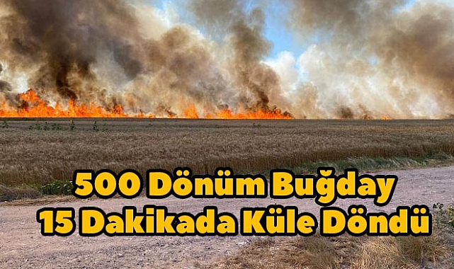 500 Dönüm Buğday 15 Dakikada Küle Döndü