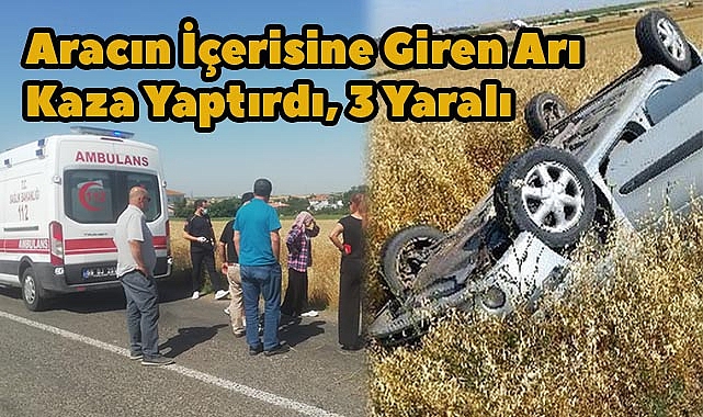 Aracın İçerisine Giren Arı Kaza Yaptırdı, 3 Yaralı