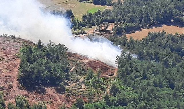 Çanakkale Yenice'de Ormanlık Alanda Yangın Çıktı