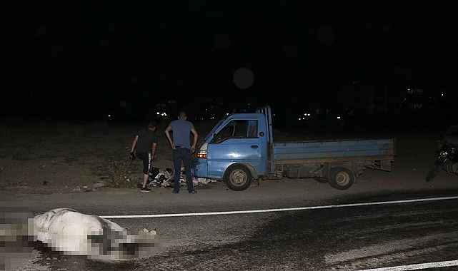Kamyonet Ata Çarptı! At Telef Oldu Sürücü Yaralandı