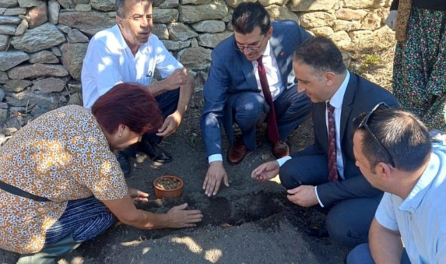 Pınarhisar'da Salep Tarlası Oluşturuldu