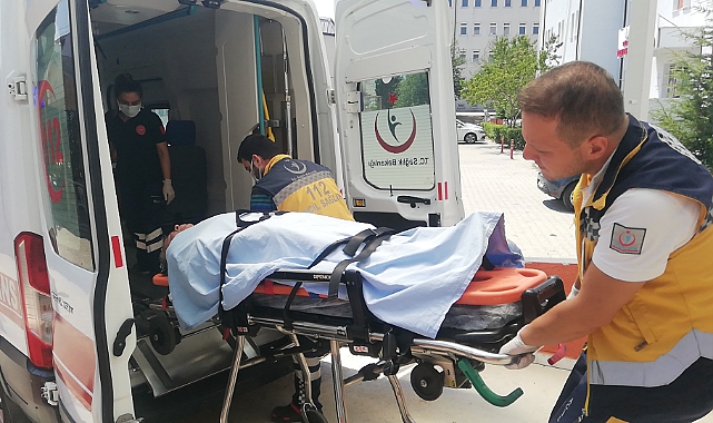 Bilecik'te Ayı Saldırısına Uğrayan Kişi Yaralandı