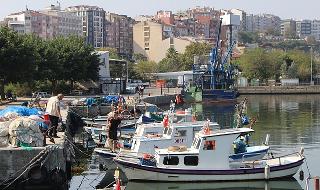 Marmara'da Hamsi, Karadeniz'de Palamut, Balıkçıları Umutlandırdı