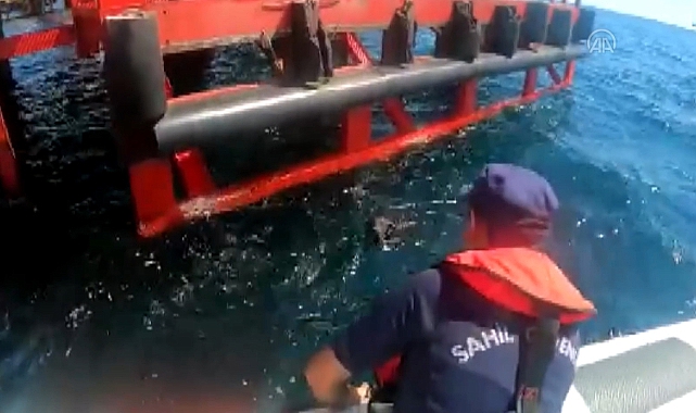 Sahibiyle Yüzerken Denizde Kaybolan Köpeği Sahil Güvenlik Kurtardı