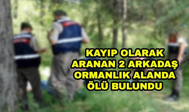 Kayıp Olarak Aranan 2 Arkadaş Ormanlık Alanda Ölü Bulundu