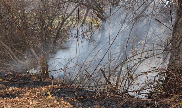 Bilecik&#039;te Arazi Yangını