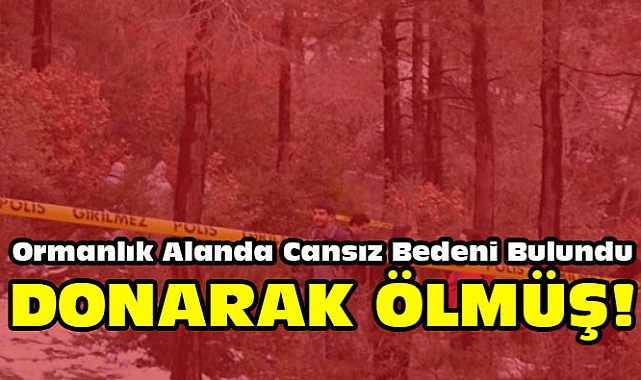 Ormanlık Alanda Ceset Bulundu! Donarak Ölmüş