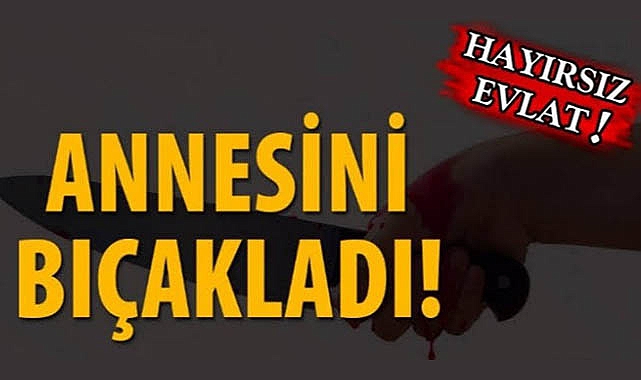 Tartıştığı Annesini Sırtından Bıçakladı