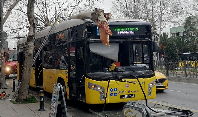 Fatih'te İETT Otobüsü Yol Kenarındaki Ağaca Çarptı